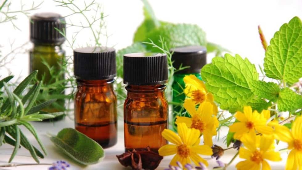 Cách xử lý gỗ có mùi hôi hiệu quả và đơn giản nhất